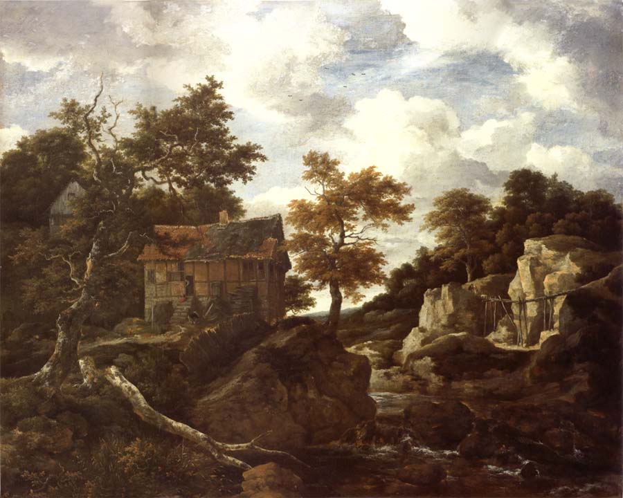 Rocky Landscape